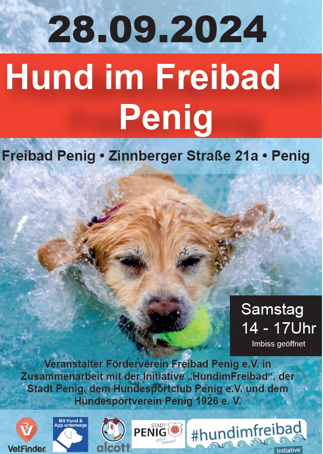 Hund im Freibad 2024