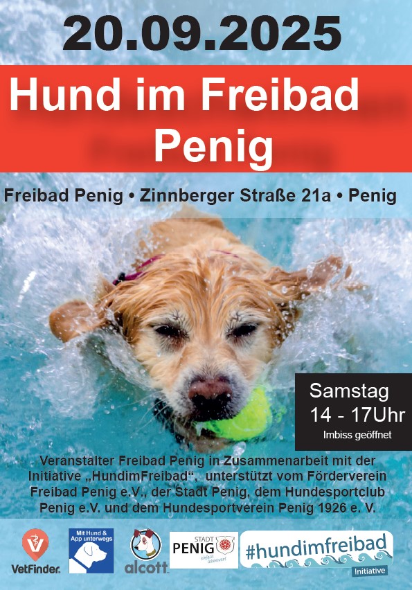 Hund im Freibad 2025